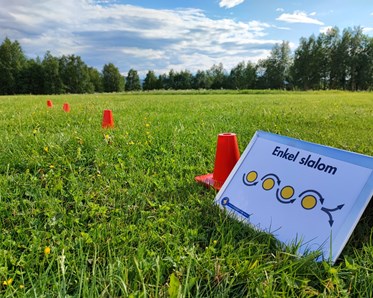 Rallylydnadsskylt slalom.