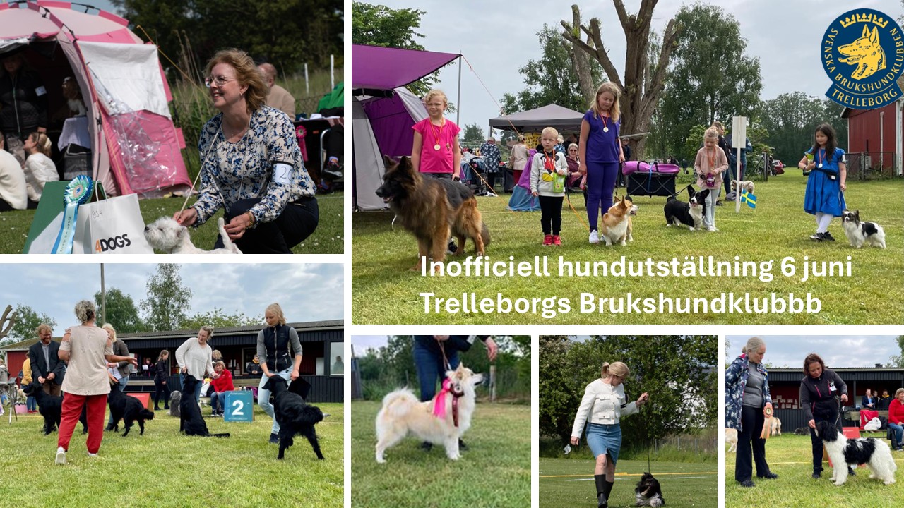 Utställning Trelleborgs Brukshundklubb