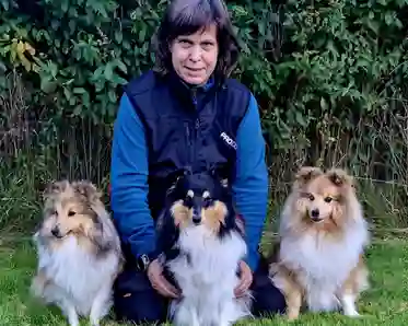 Agneta Guldhskiöld med sina tre hundar.
