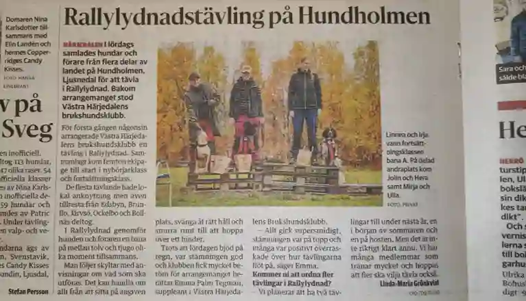 Artikel från Tidningen Härjedalen sept-22 från klubbens första rallylydnadstävling.