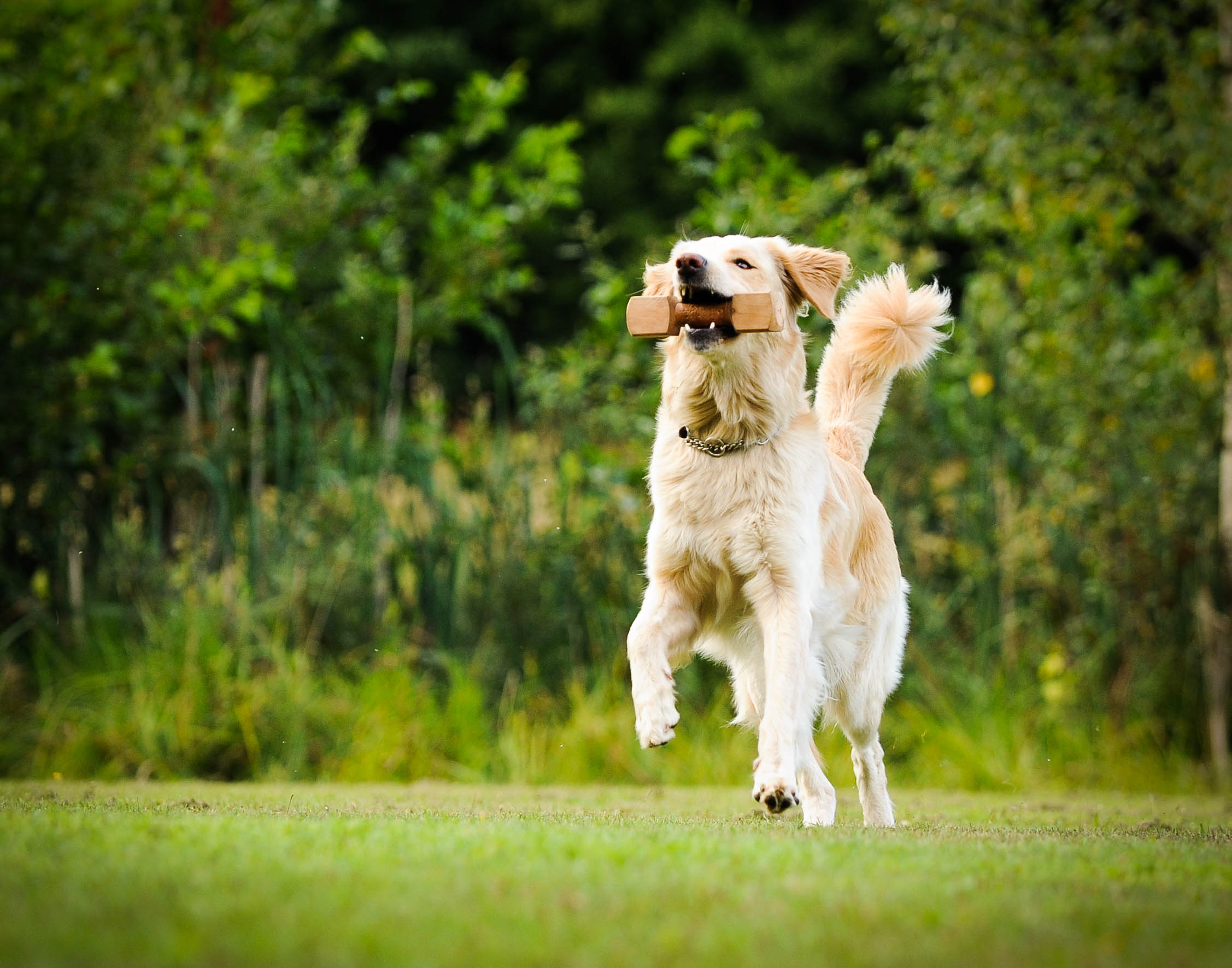 Foto: Julia Indergard