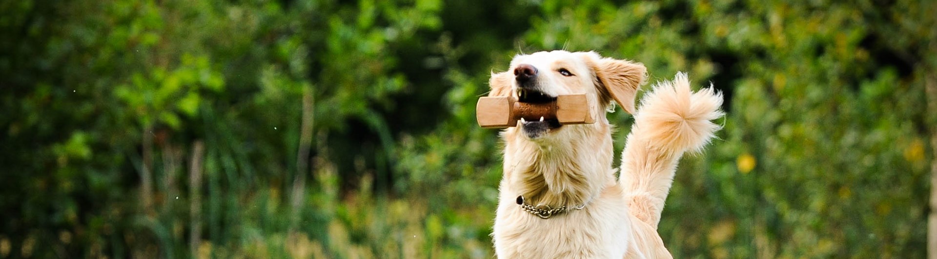 Foto: Julia Indergard