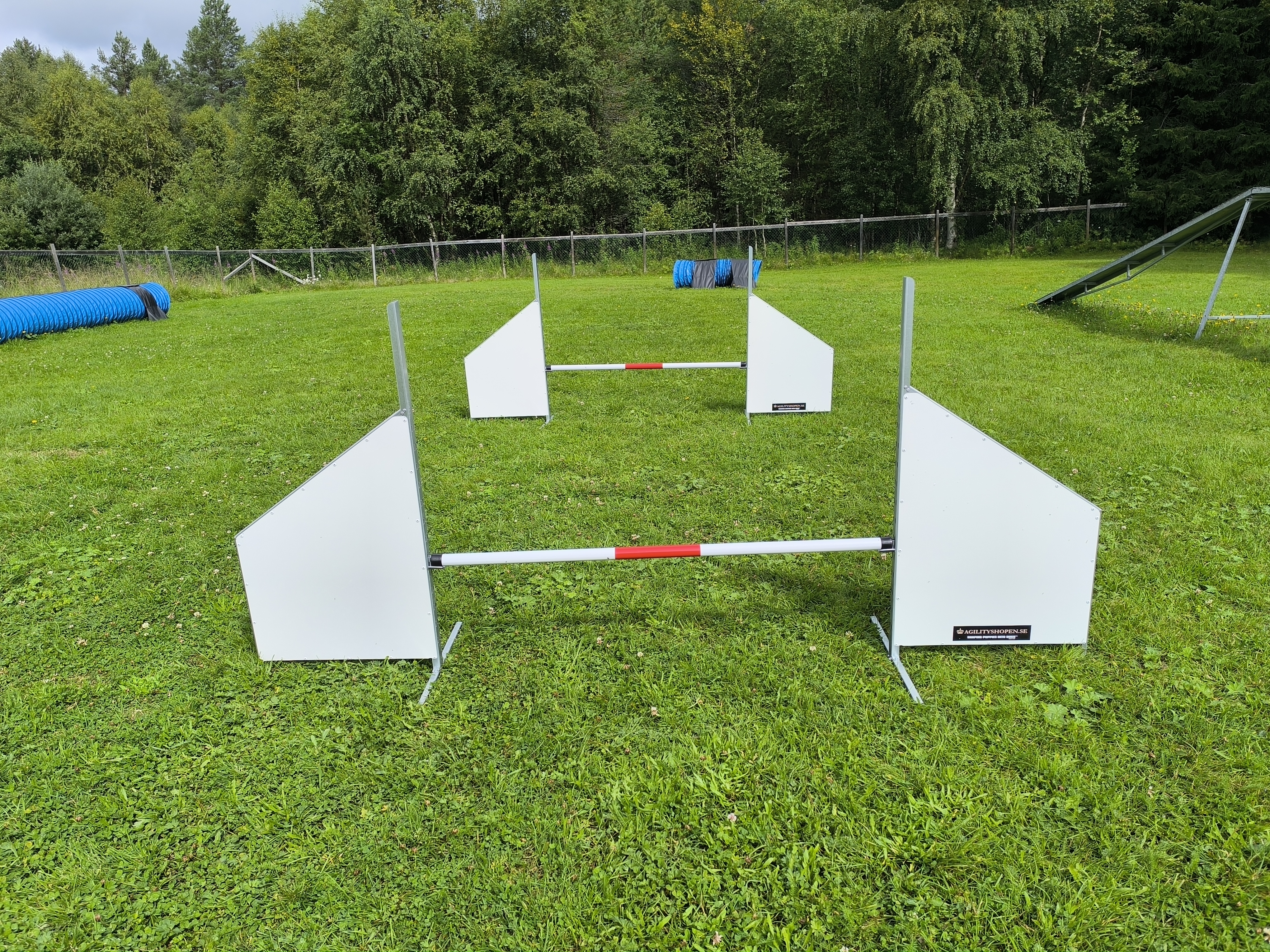 Hopphinder i agility.