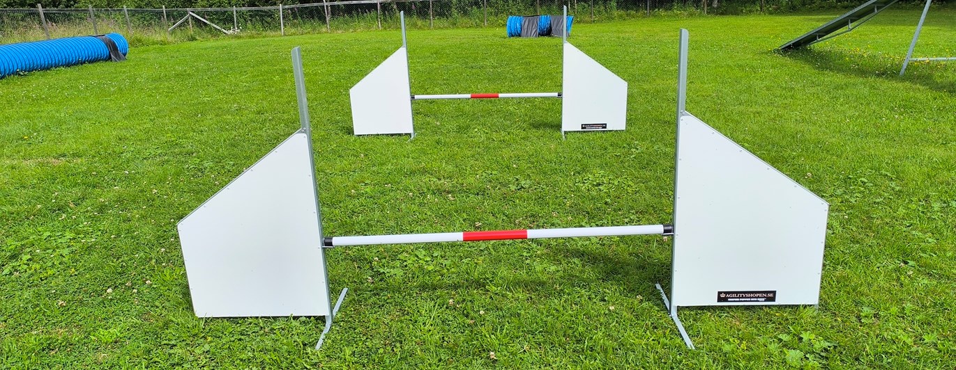 Hopphinder i agility.