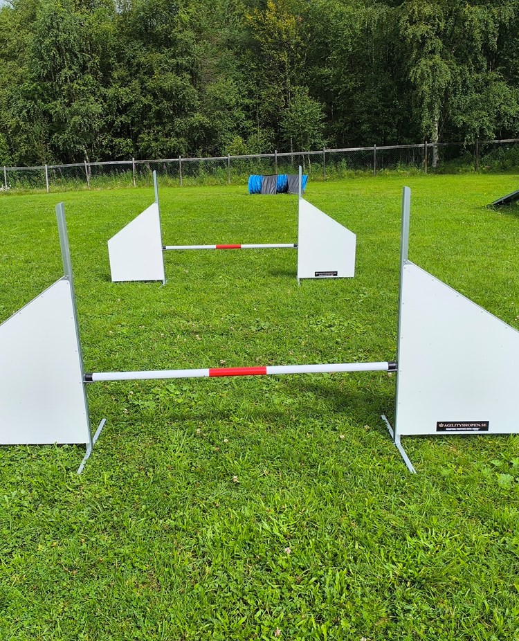 Hopphinder i agility.