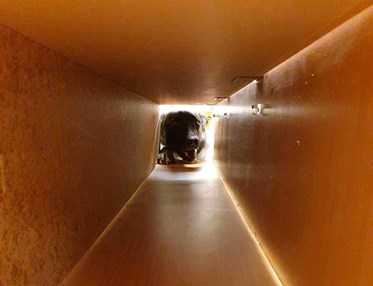 nedansijans brukshundsklubb