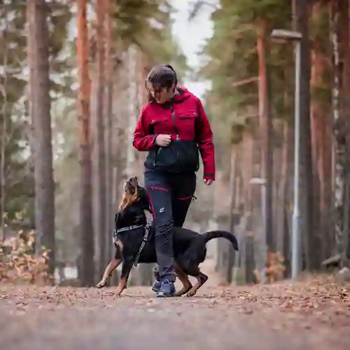 Kvinna och hund gör tricks i skogen