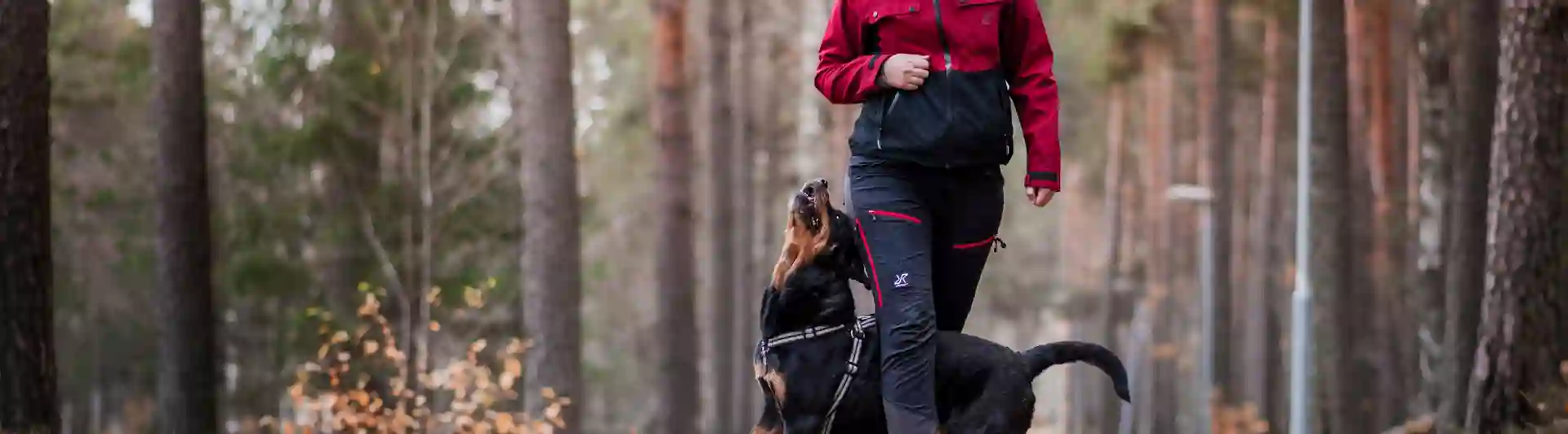 Kvinna och hund gör tricks i skogen
