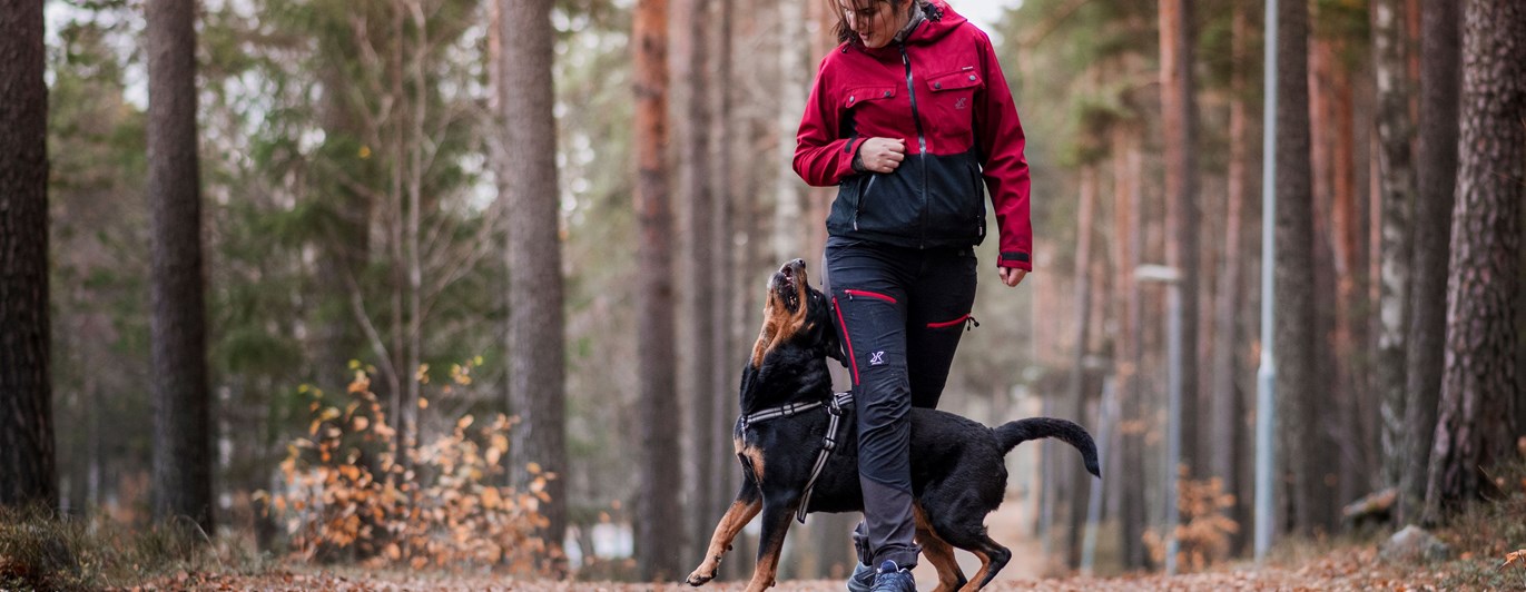Kvinna och hund gör tricks i skogen
