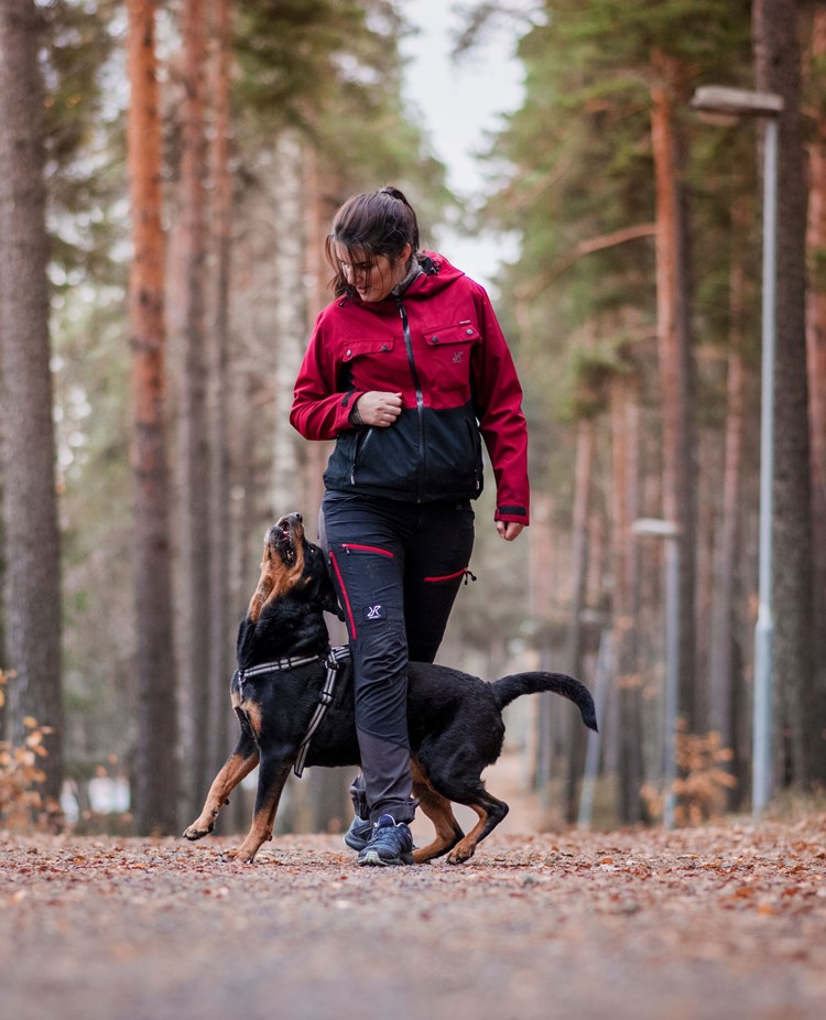 Kvinna och hund gör tricks i skogen