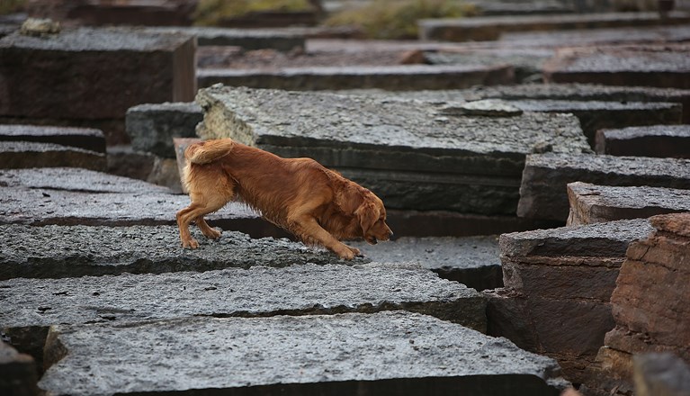 Fotograf: Christian Björses