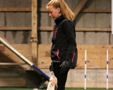 Vår instruktör Jennifer Andersson i svarta kläder tränar fritt följ med sin whippet i en inomhushall.