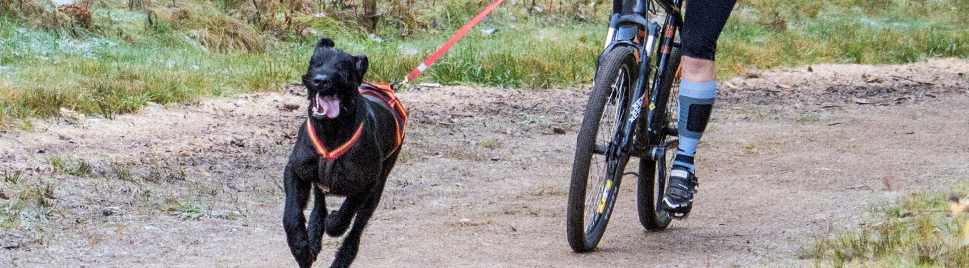 Barmarksdrag med cykel