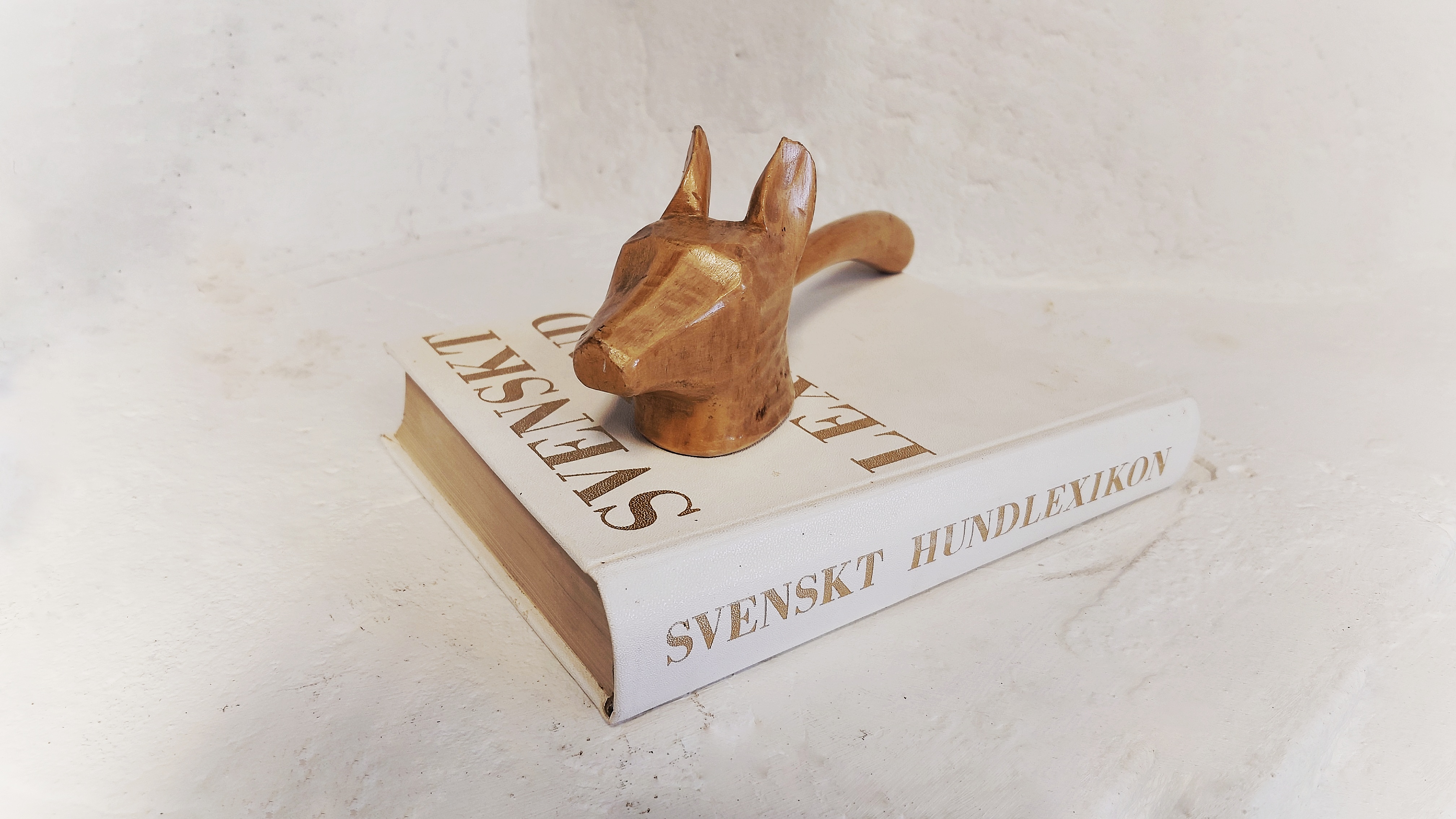 Bok med ordförandes klubba på