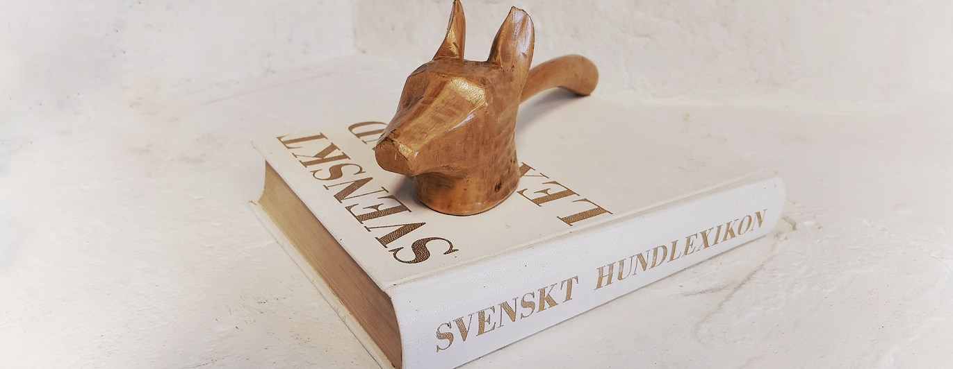 Bok med ordförandes klubba på