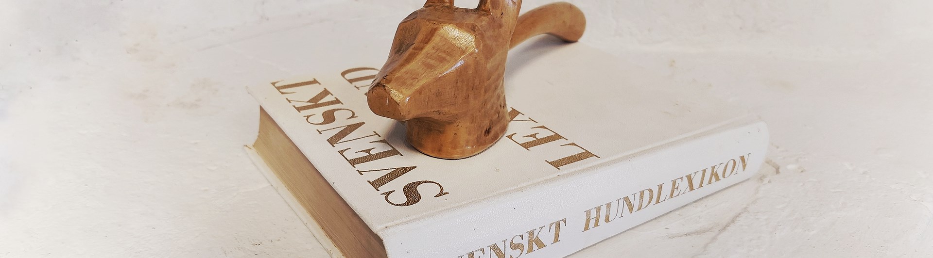 Bok med ordförandes klubba på