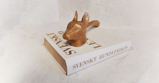 Bok med ordförandes klubba på