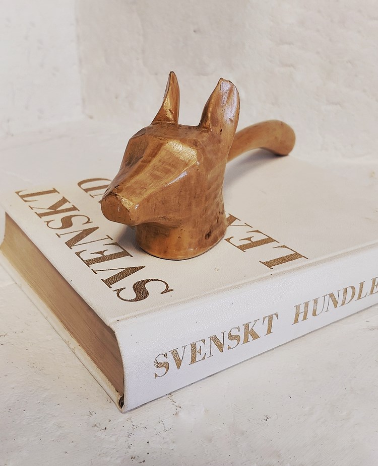 Bok med ordförandes klubba på