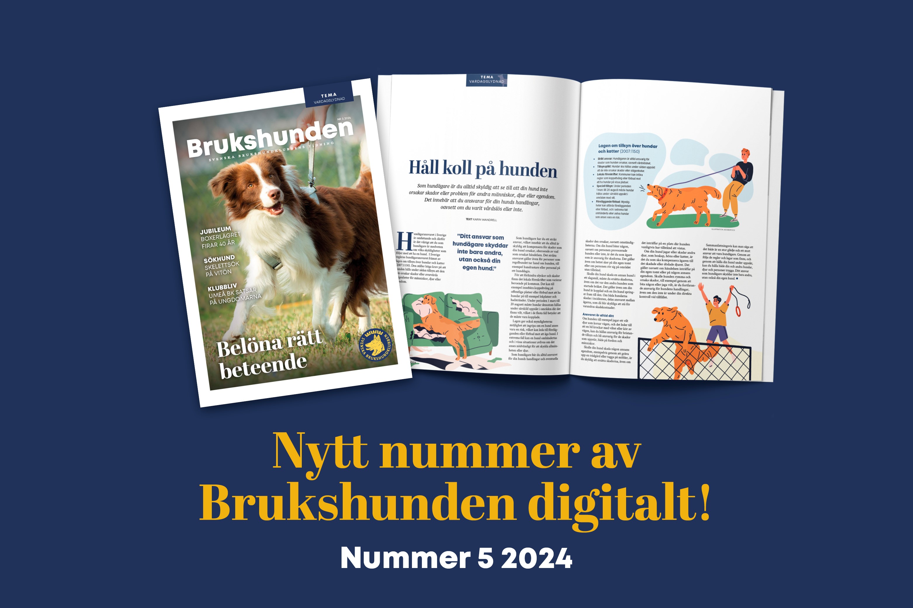 Bild på ett uppslag ur tidningen Brukshunden nummer 5, 2024.