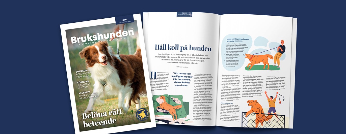 Bild på ett uppslag ur tidningen Brukshunden nummer 5, 2024.