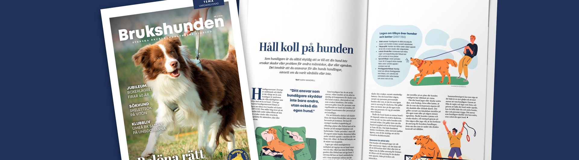 Bild på ett uppslag ur tidningen Brukshunden nummer 5, 2024.