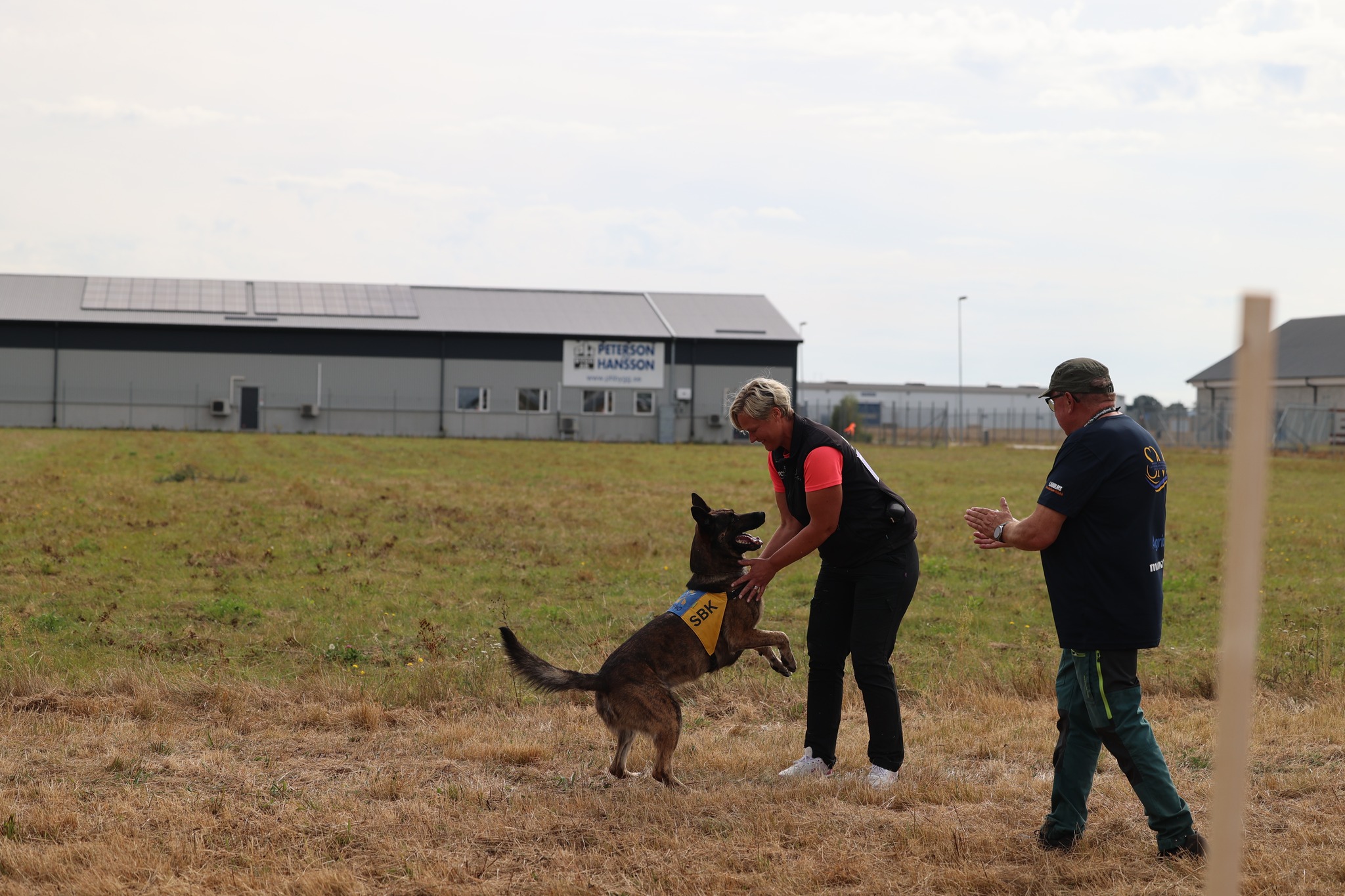 En tävlande tillsammans med sin hund vid uppletandet på SM i bruks 2025