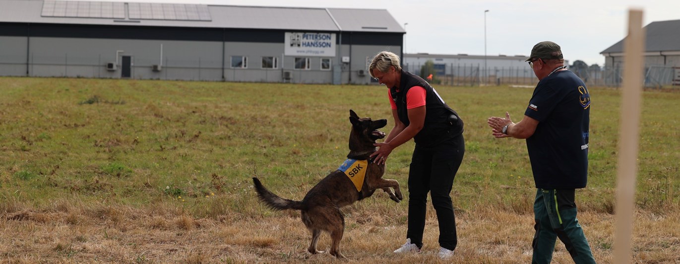 En tävlande tillsammans med sin hund vid uppletandet på SM i bruks 2025