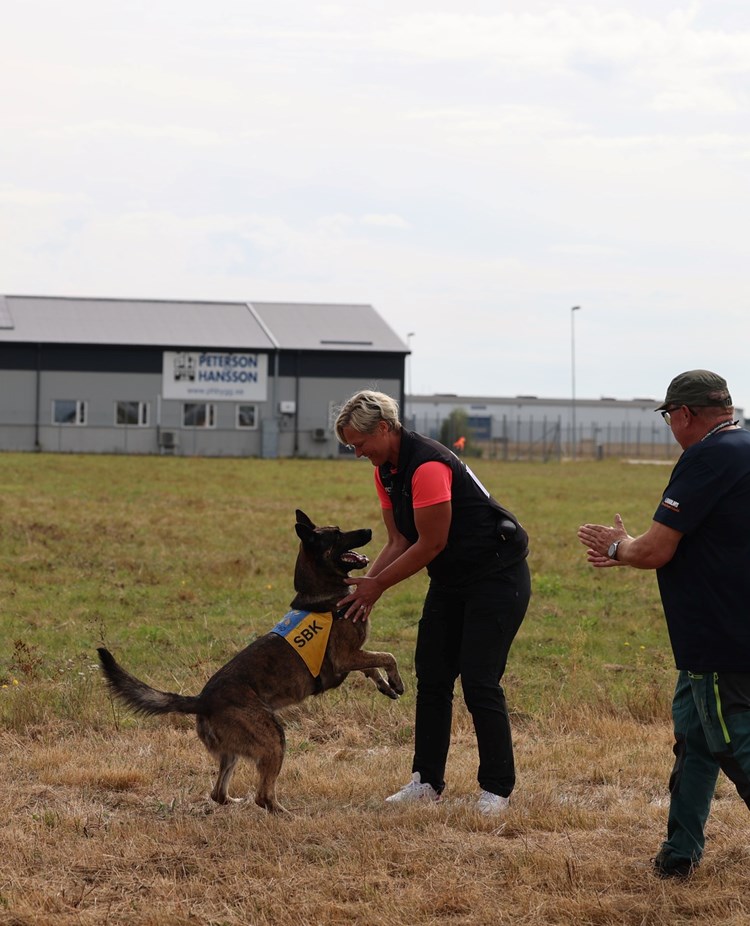 En tävlande tillsammans med sin hund vid uppletandet på SM i bruks 2025