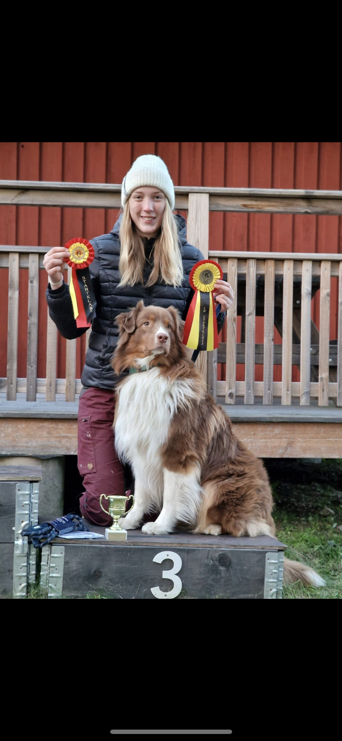 Hund på prispallen tillsammans med matte och prisrosetter