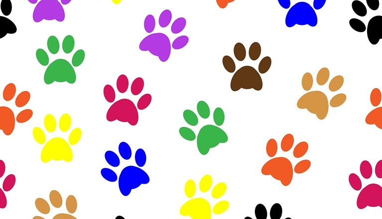 Hundtassar i glada färger