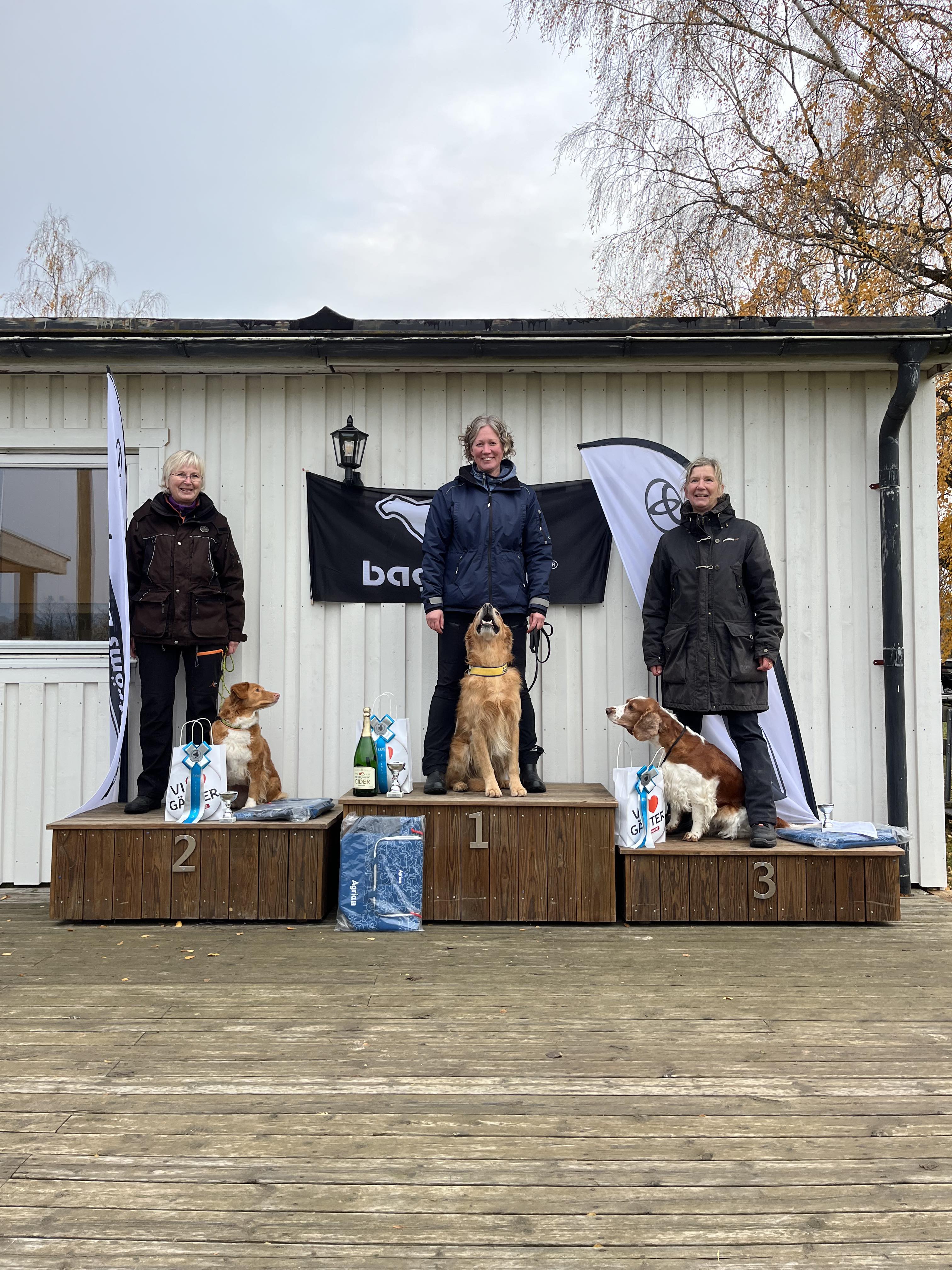 resultat Rallylydnad DM