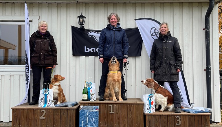 resultat Rallylydnad DM