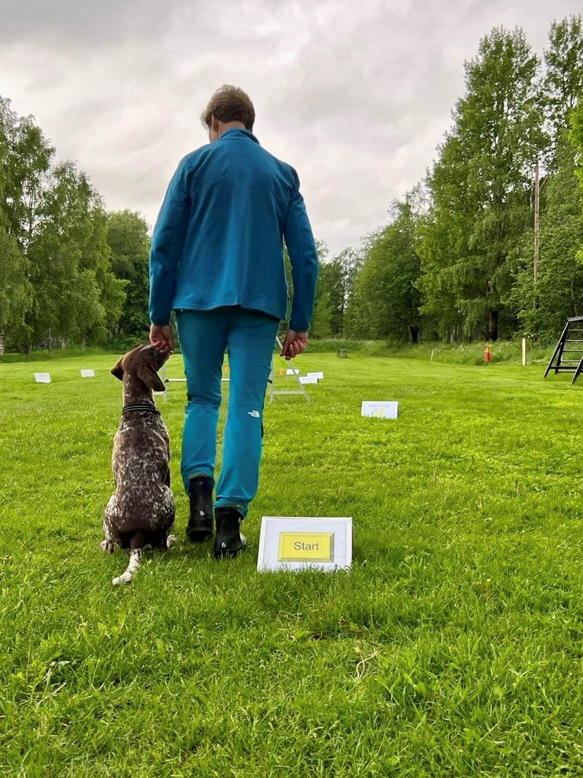 Hund och förare står vid startskylten av en rallylydnadsbana. Hunden kollar upp på föraren som precis är påväg att ta ett kliv framåt och påbörja banan.  