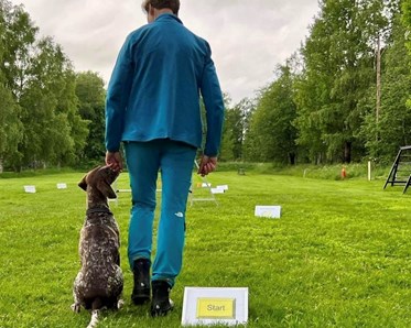 Hund och förare står vid startskylten av en rallylydnadsbana. Hunden kollar upp på föraren som precis är påväg att ta ett kliv framåt och påbörja banan.