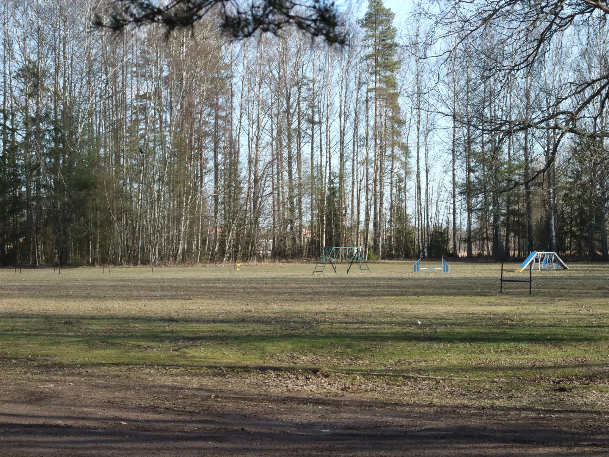 Appellplanen en solig vårdag