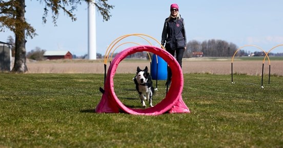 BC tränar hoopers
