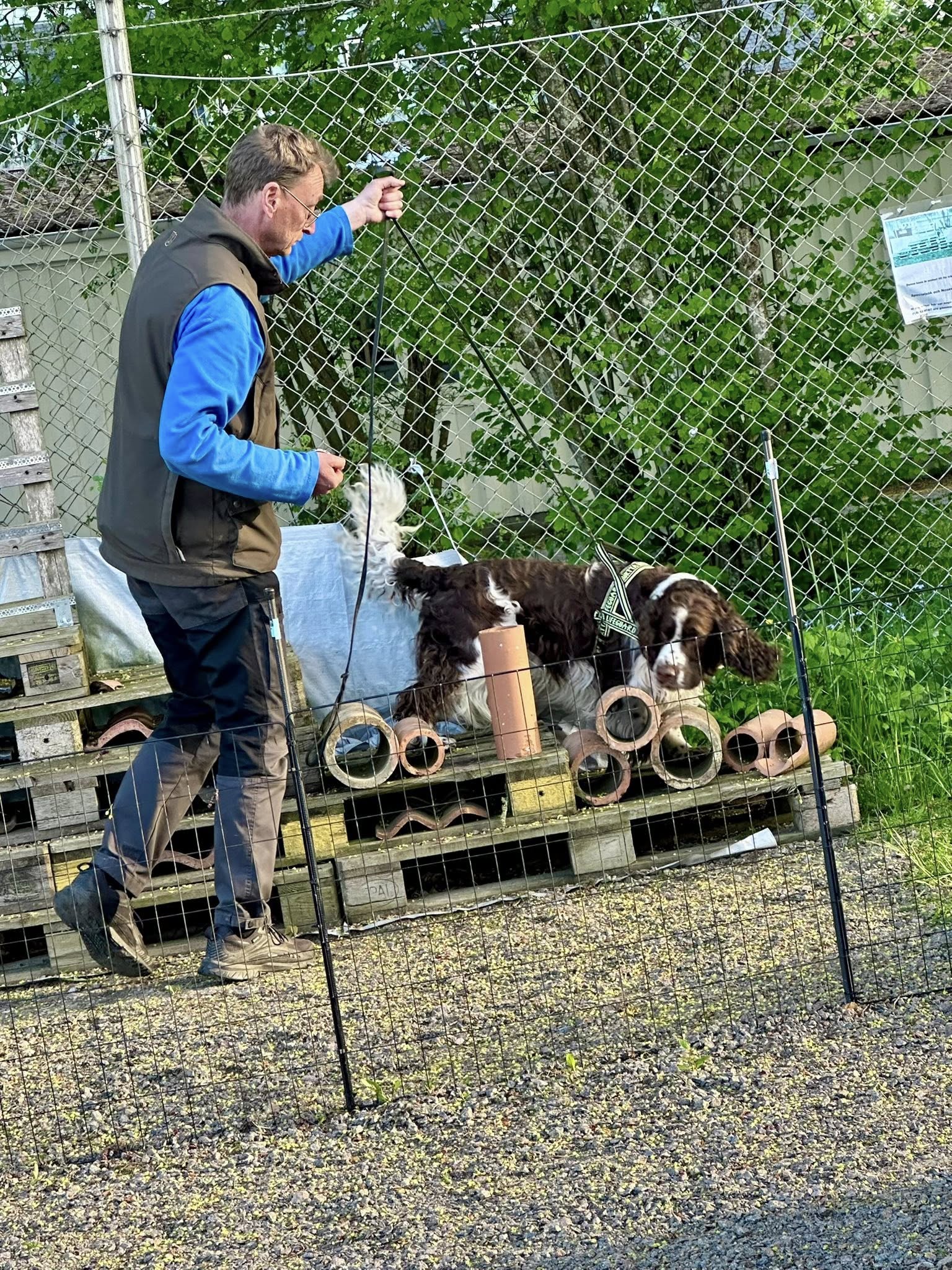 Hundförare och hund som tränar specialsök på lastpallar. 