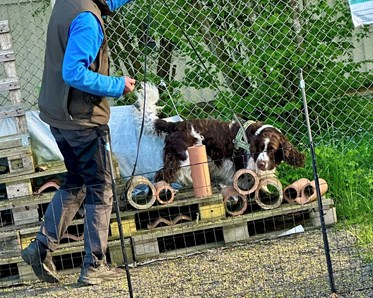Hundförare och hund som tränar specialsök på lastpallar.