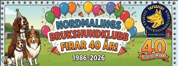 nbhk 40år visar olika hundar och ballonger