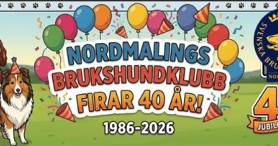 nbhk 40år visar olika hundar och ballonger
