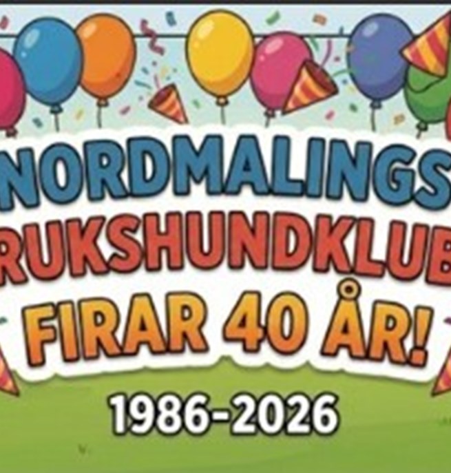 nbhk 40år visar olika hundar och ballonger