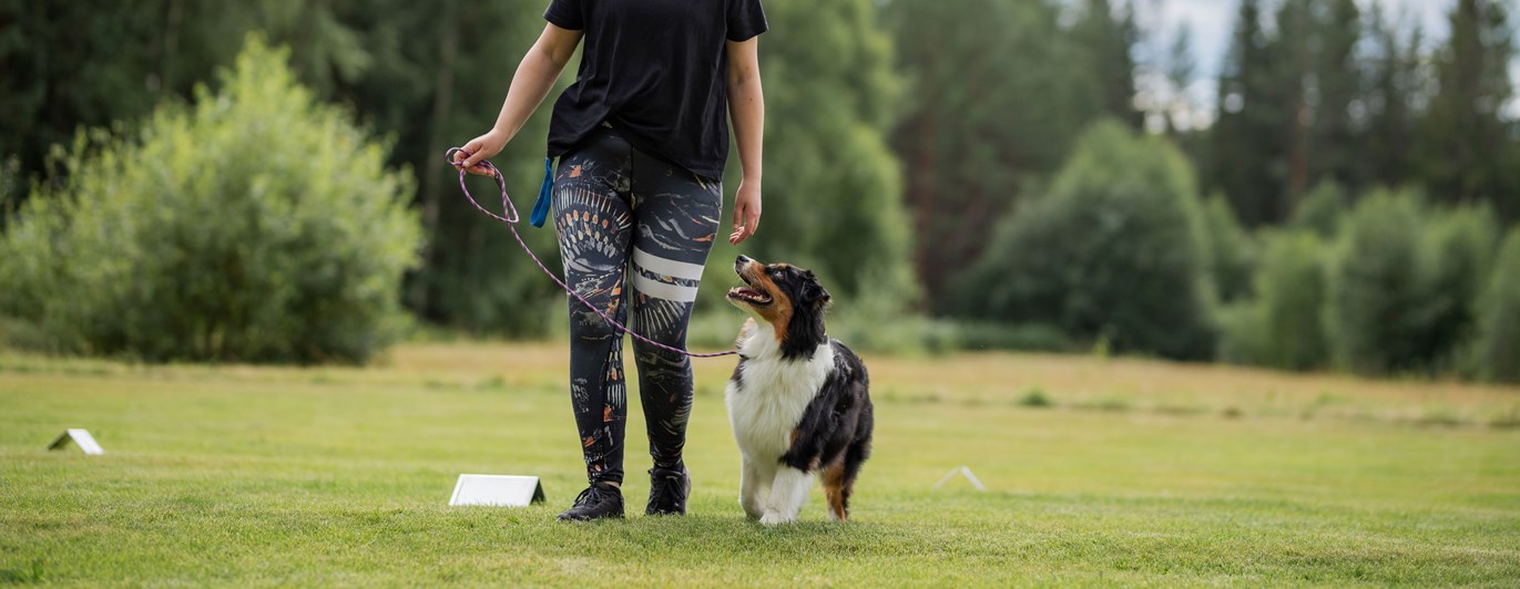 Louise & Tindra tränar rallylydnad