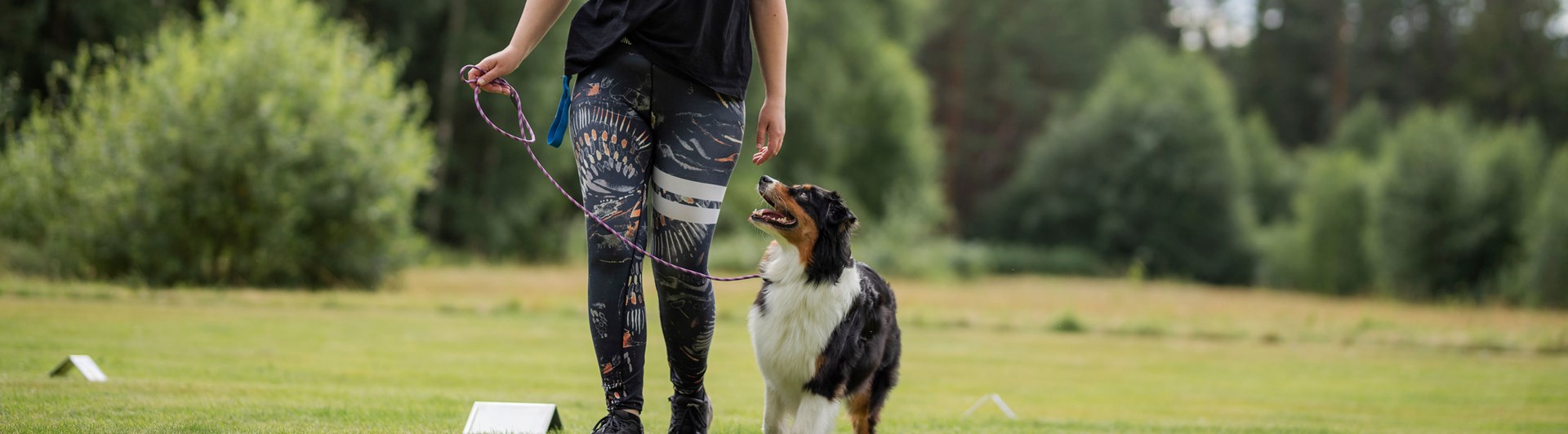 Louise & Tindra tränar rallylydnad