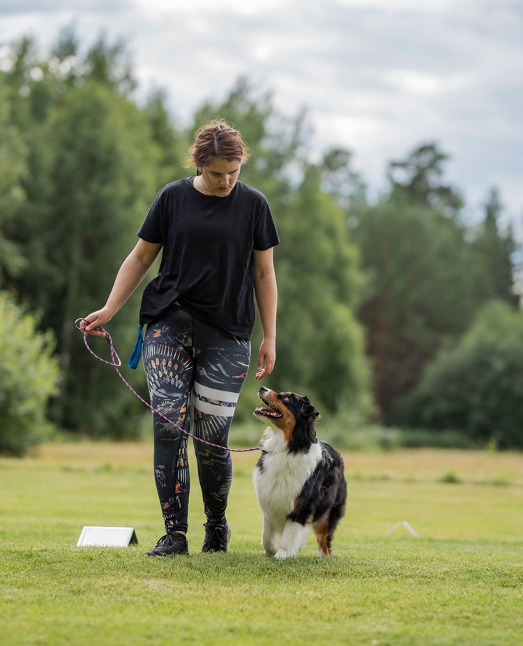Louise & Tindra tränar rallylydnad