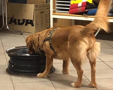 Träning specialsök