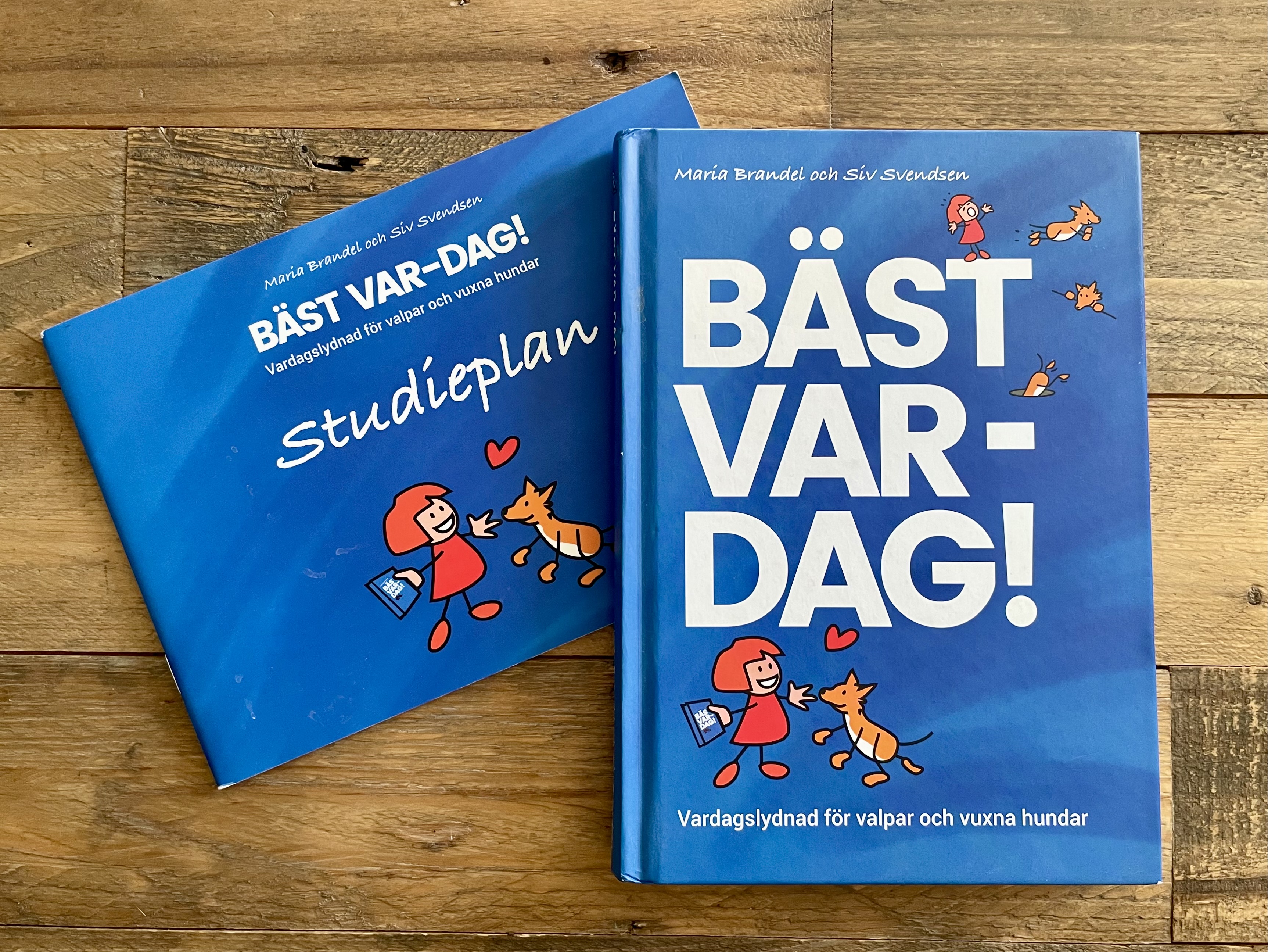 Bild på omslaget till boken och studiehäftet BÄST VAR-DAG! skriven av Maria Brandel & Siv Svendsen