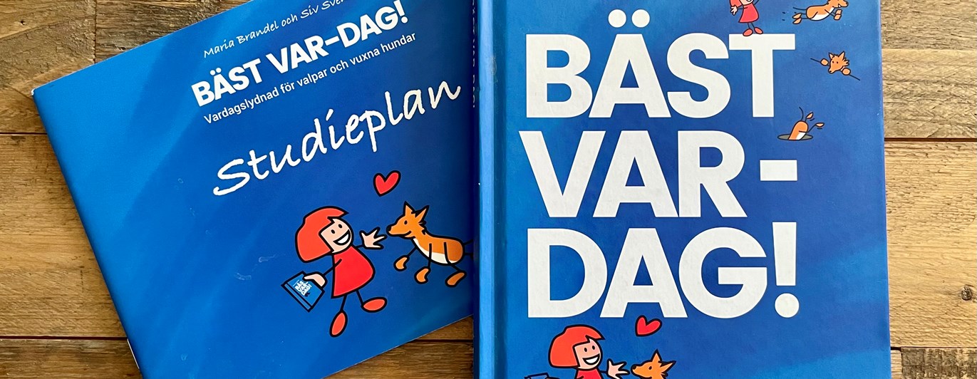 Bild på omslaget till boken och studiehäftet BÄST VAR-DAG! skriven av Maria Brandel & Siv Svendsen