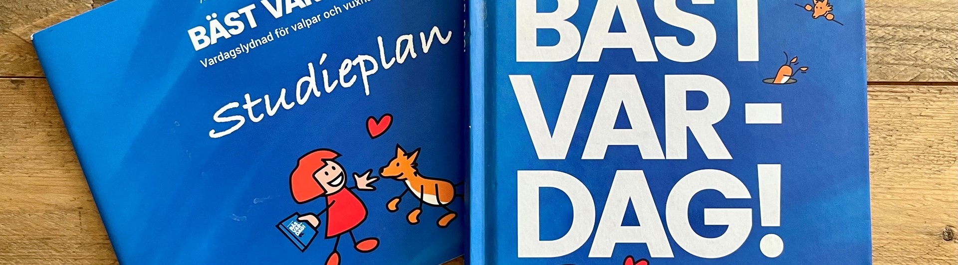 Bild på omslaget till boken och studiehäftet BÄST VAR-DAG! skriven av Maria Brandel & Siv Svendsen