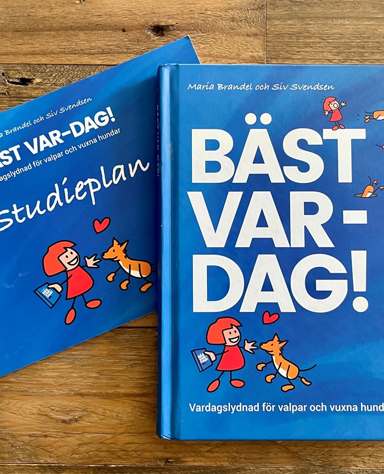 Bild på omslaget till boken och studiehäftet BÄST VAR-DAG! skriven av Maria Brandel & Siv Svendsen