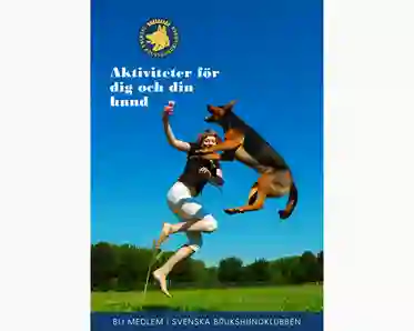 Aktiviteter för dig och din hund